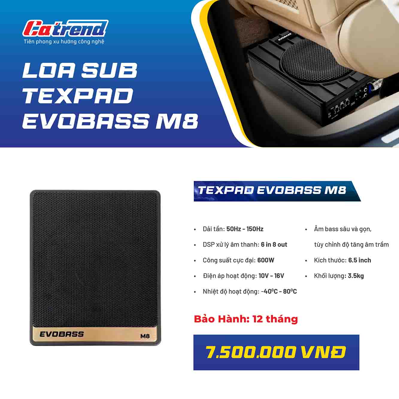 Loa sub điện Texpad Evobass M8